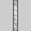 Negative film strip for Farewell to Manzanar scene stills (ddr-densho-317-183)