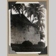 Stone wall next to palm trees (ddr-densho-404-254)