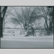 Yard in snow, black and white (ddr-densho-523-322)