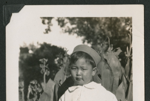 baby in a garden (ddr-densho-378-517)