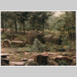 Landscaping (ddr-densho-377-1957)