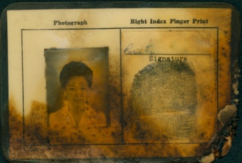 Travel permit card for Rosie Keiko Maruki (ddr-manz-10-161)
