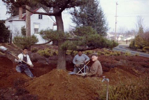 Jun, Tom Kubota and Gary Gearhart working in the Garden near the old family house (?) (ddr-densho-354-499)