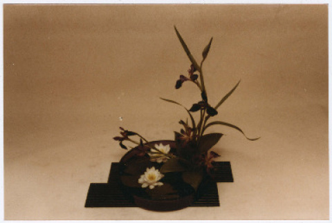 Photo front and back (ddr-densho-534-111-mezzanine-0d0ac1e383)