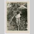 woman in garden (ddr-densho-378-1099)