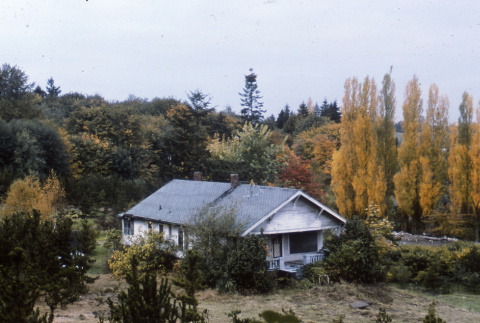 Abandoned house on current site of maintenance area, former sheep farm (ddr-densho-354-315)