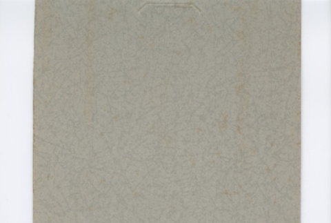 Portrait of a woman in a flower-print dress (ddr-densho-483-148)