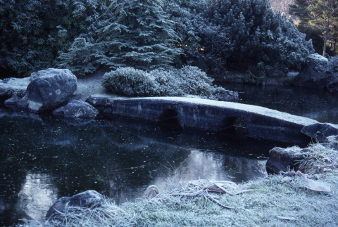 Eyeglass Bridge in the Japanese Garden (ddr-densho-354-878)