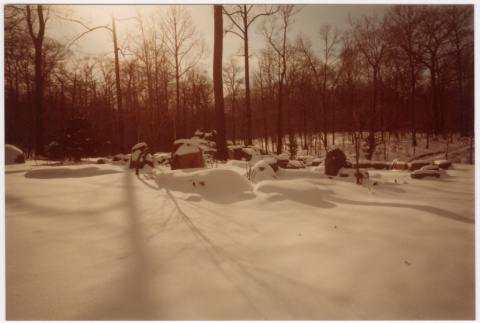 Snowy rocks in forest (ddr-densho-377-2584)