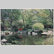Pond near houses (ddr-densho-377-1974)