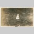 A baby sitting in a field (ddr-densho-321-617)