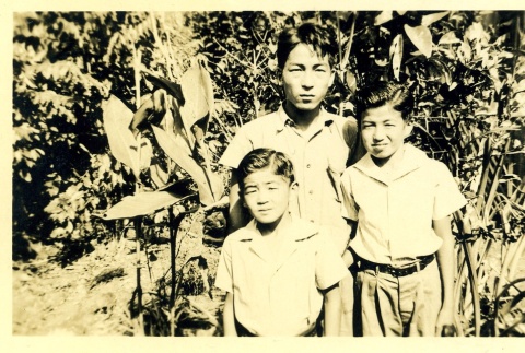 Herbert K. Yanamura with his brothers (ddr-densho-22-152)