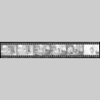 Negative film strip for Farewell to Manzanar scene stills (ddr-densho-317-254)