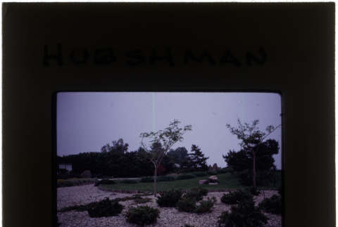 Garden at the Hubshman project (ddr-densho-377-623)