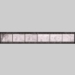 Negative film strip for Farewell to Manzanar scene stills (ddr-densho-317-96)