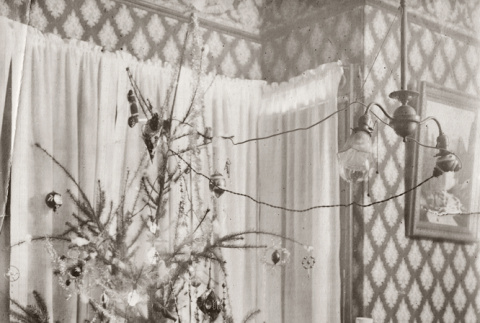 Baby posed by Christmas tree in house (ddr-ajah-6-165)